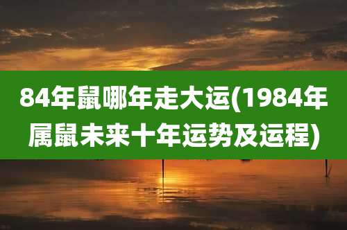 84年鼠哪年走大运(1984年属鼠未来十年运势及运程)