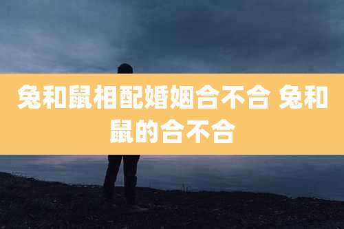 兔和鼠相配婚姻合不合 兔和鼠的合不合