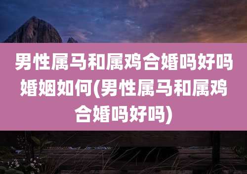 男性属马和属鸡合婚吗好吗婚姻如何(男性属马和属鸡合婚吗好吗)