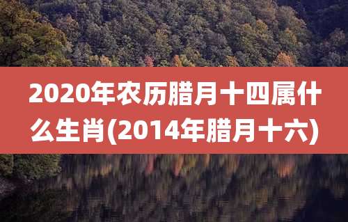 2020年农历腊月十四属什么生肖(2014年腊月十六)
