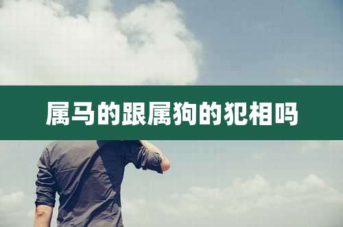 属马的跟属狗的犯相吗