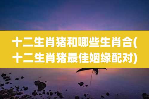 十二生肖猪和哪些生肖合(十二生肖猪最佳姻缘配对)