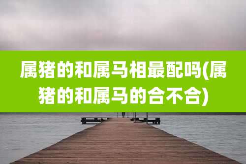 属猪的和属马相最配吗(属猪的和属马的合不合)