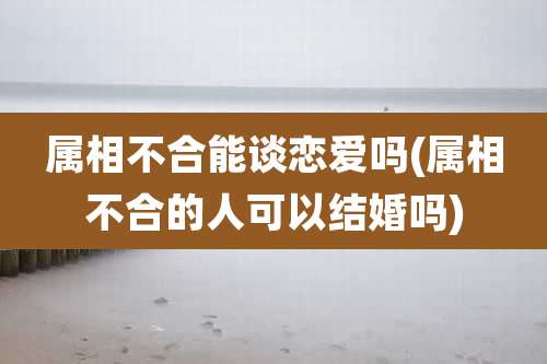 属相不合能谈恋爱吗(属相不合的人可以结婚吗)