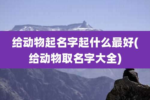 给动物起名字起什么最好(给动物取名字大全)