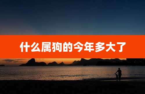 什么属狗的今年多大了
