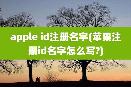 apple id注册名字(苹果注册id名字怎么写?)