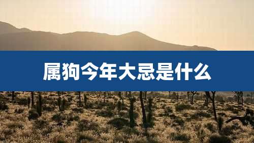 属狗今年大忌是什么