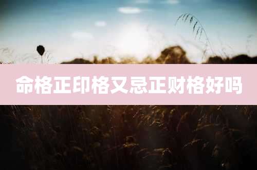 命格正印格又忌正财格好吗