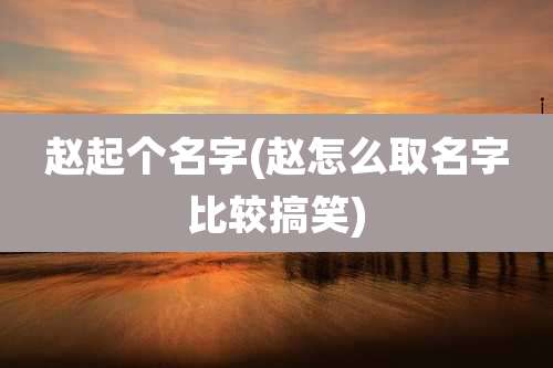 赵起个名字(赵怎么取名字比较搞笑)