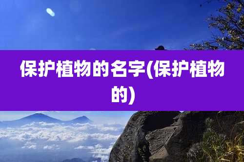 保护植物的名字(保护植物的)