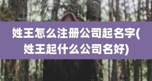 姓王怎么注册公司起名字(姓王起什么公司名好)