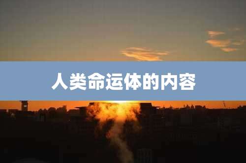 人类命运体的内容