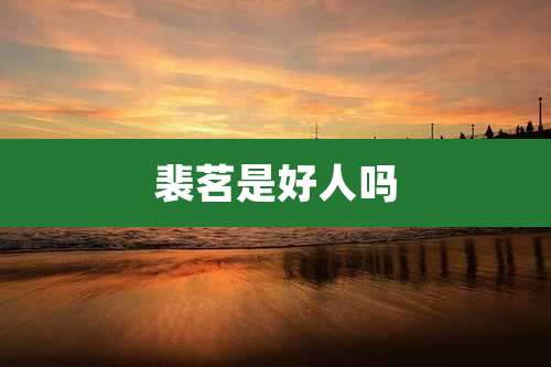 裴茗是好人吗