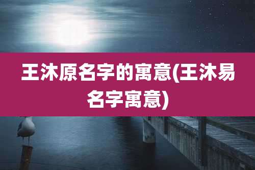 王沐原名字的寓意(王沐易名字寓意)