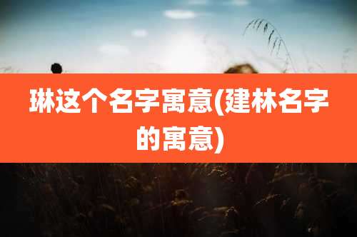 琳这个名字寓意(建林名字的寓意)
