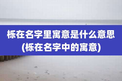 栎在名字里寓意是什么意思(栎在名字中的寓意)