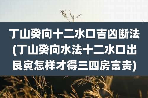 丁山癸向十二水口吉凶断法(丁山癸向水法十二水口出艮寅怎样才得三四房富贵)