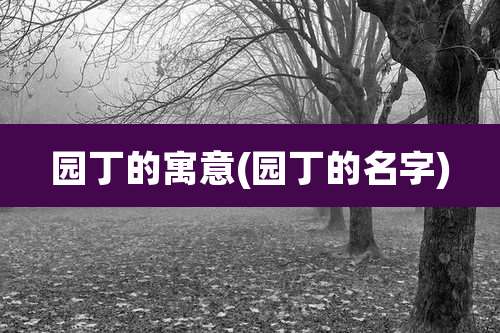 园丁的寓意(园丁的名字)