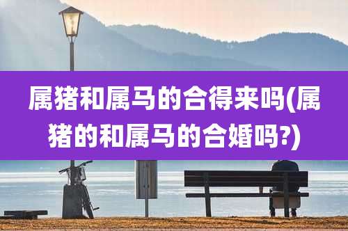 属猪和属马的合得来吗(属猪的和属马的合婚吗?)