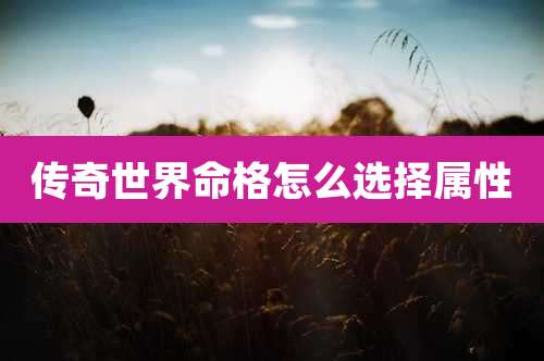 传奇世界命格怎么选择属性