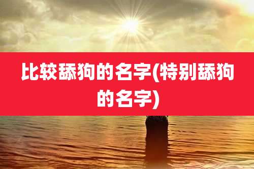 比较舔狗的名字(特别舔狗的名字)