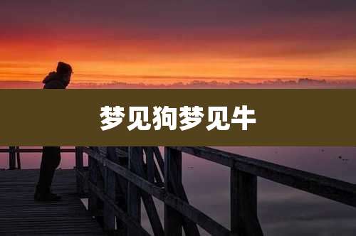 梦见狗梦见牛