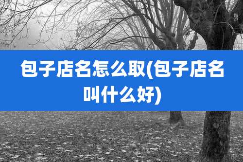 包子店名怎么取(包子店名叫什么好)