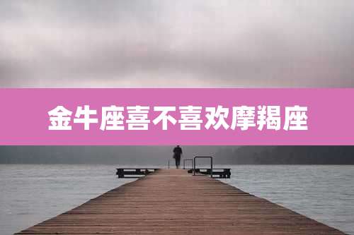 金牛座喜不喜欢摩羯座
