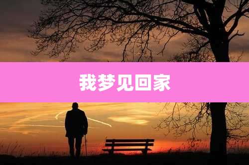我梦见回家