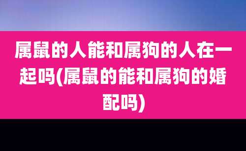 属鼠的人能和属狗的人在一起吗(属鼠的能和属狗的婚配吗)