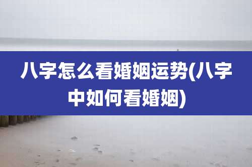 八字怎么看婚姻运势(八字中如何看婚姻)