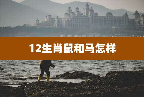 12生肖鼠和马怎样