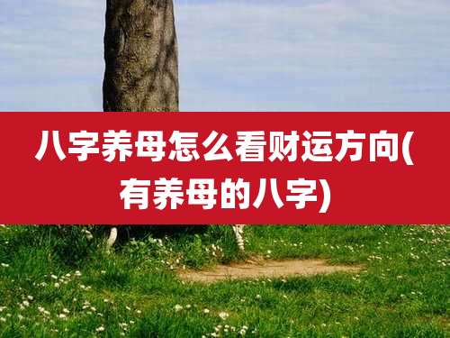 八字养母怎么看财运方向(有养母的八字)