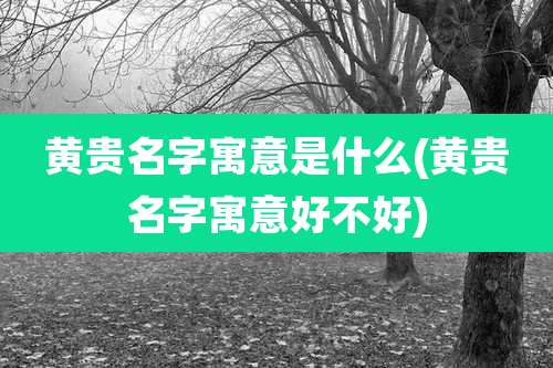 黄贵名字寓意是什么(黄贵名字寓意好不好)