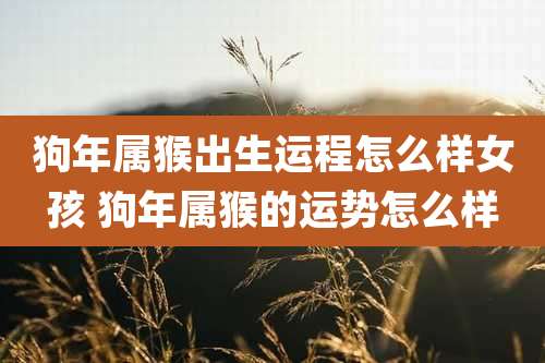 狗年属猴出生运程怎么样女孩 狗年属猴的运势怎么样