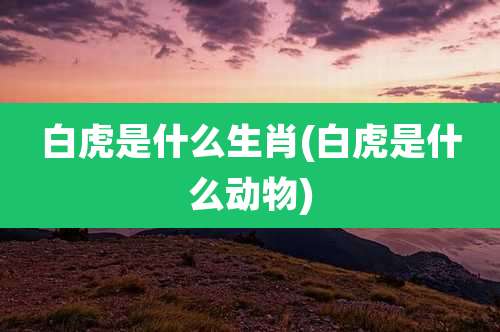 白虎是什么生肖(白虎是什么动物)