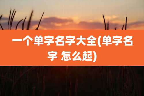 一个单字名字大全(单字名字 怎么起)