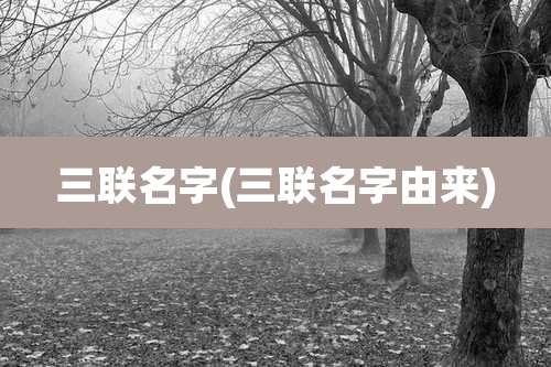 三联名字(三联名字由来)