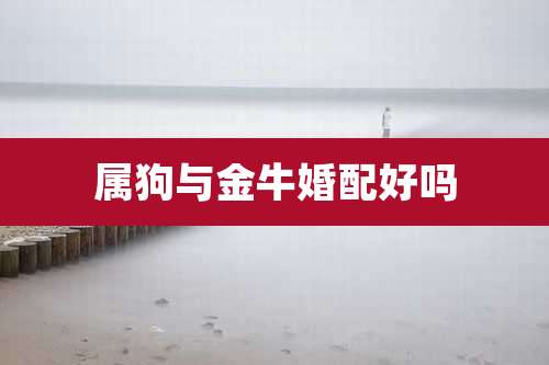 属狗与金牛婚配好吗