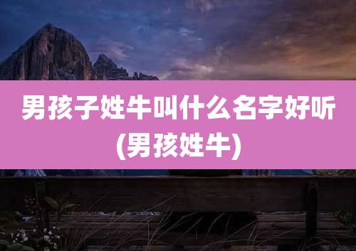 男孩子姓牛叫什么名字好听(男孩姓牛)