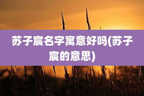 苏子宸名字寓意好吗(苏子宸的意思)