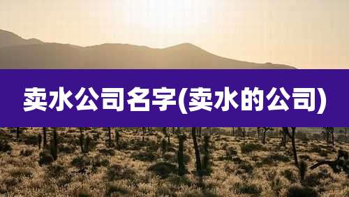 卖水公司名字(卖水的公司)