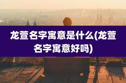 龙萱名字寓意是什么(龙萱名字寓意好吗)