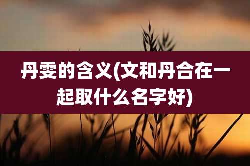 丹雯的含义(文和丹合在一起取什么名字好)