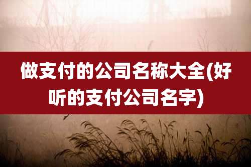 做支付的公司名称大全(好听的支付公司名字)