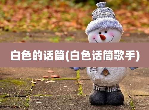 白色的话筒(白色话筒歌手)