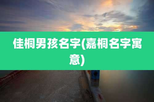 佳桐男孩名字(嘉桐名字寓意)