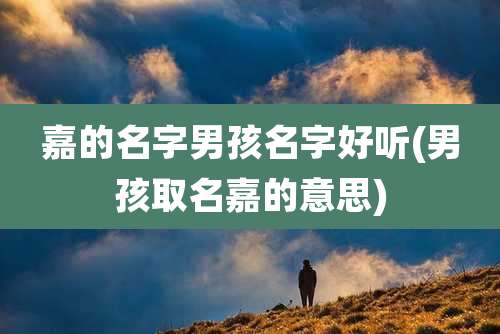 嘉的名字男孩名字好听(男孩取名嘉的意思)