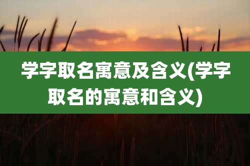 学字取名寓意及含义(学字取名的寓意和含义)